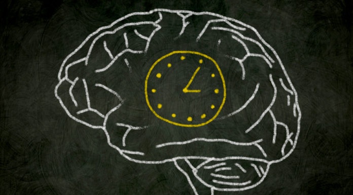 How Does Brain Perceives Time