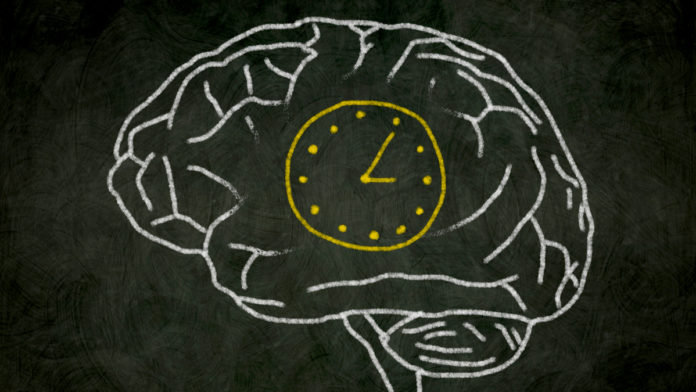How Does Brain Perceives Time