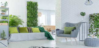 plants in bedroom ideas