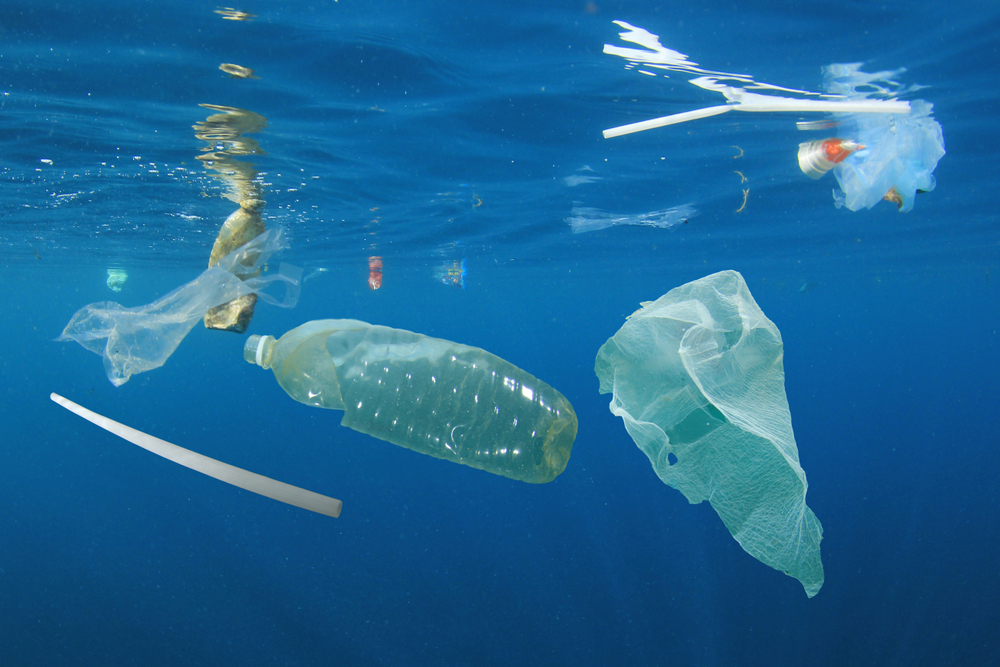 Facts About Ocean Pollution