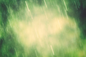 acid rain causes and effects