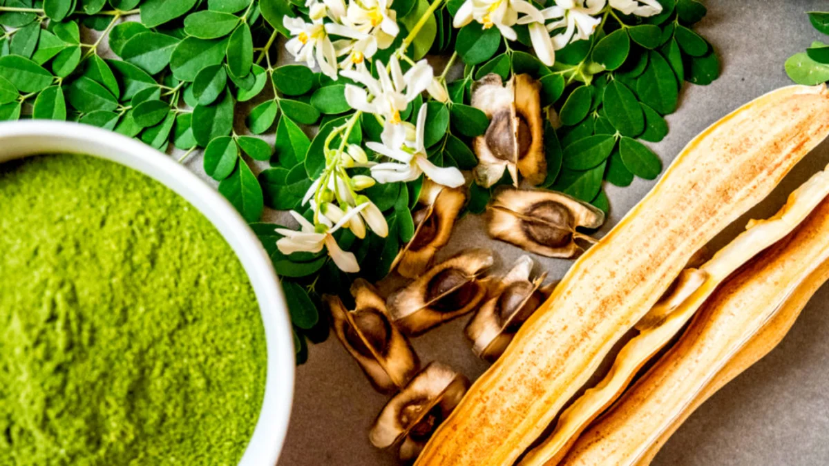 Moringa powder health benefits