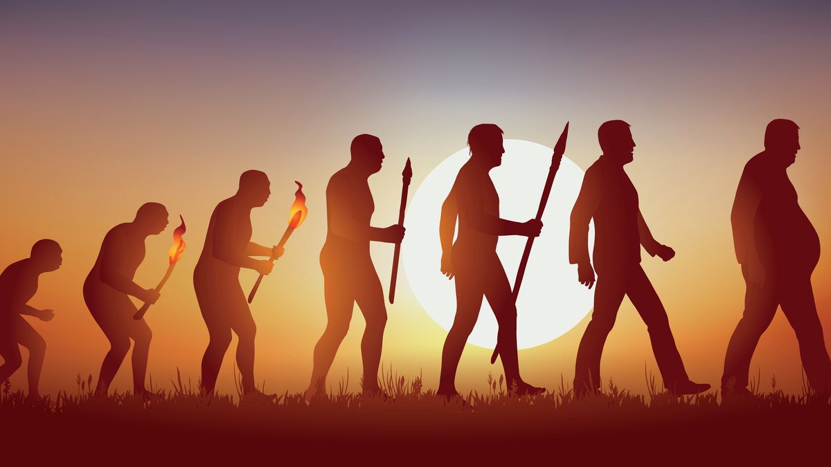 Human Evolution And The Missing Link: Where Have We Come Today?