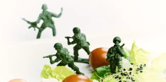 military-diet