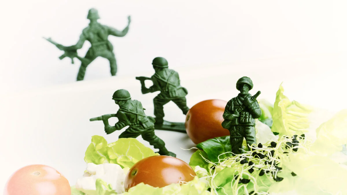 military diet