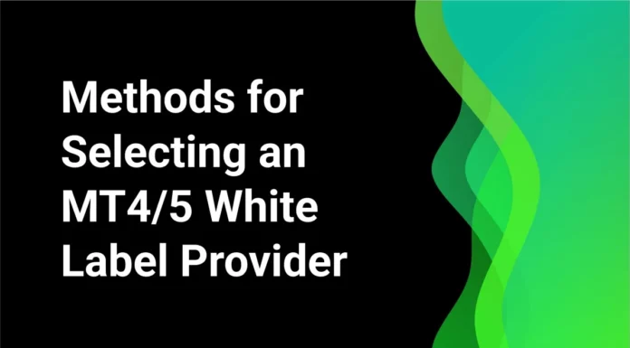 MT4/5 White Label Provider