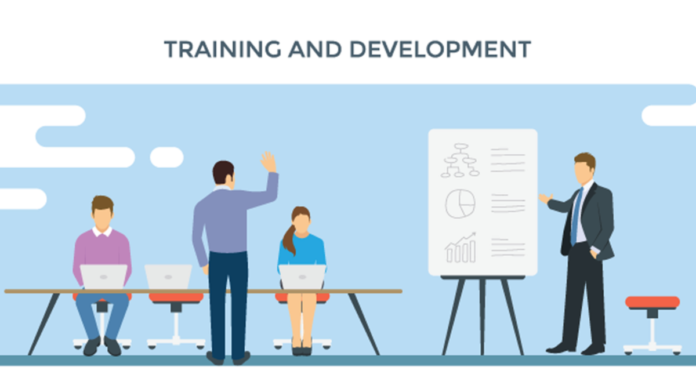 Training Programs for Your Team