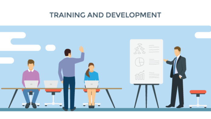Training Programs for Your Team