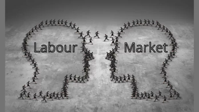 Labour Market