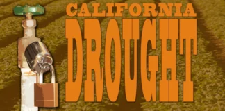 California Water Prices