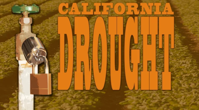 California Water Prices