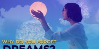 Why do you forget dreams