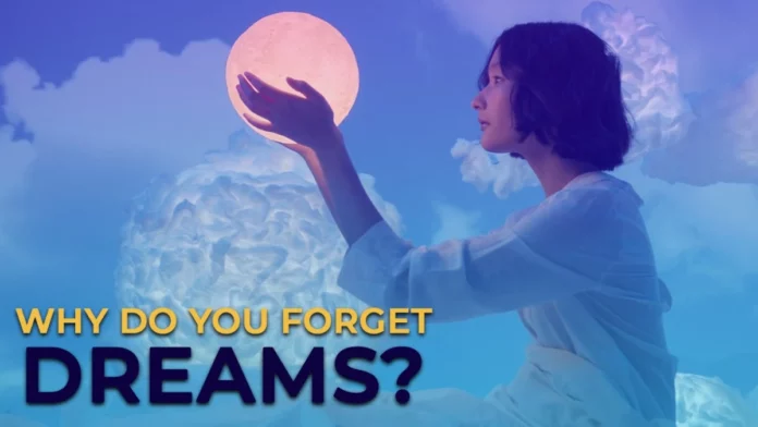 Why do you forget dreams