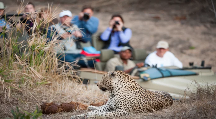 Market for Wildlife Tourism