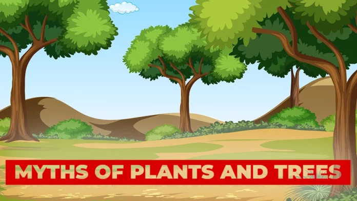 Plant and tree myths
