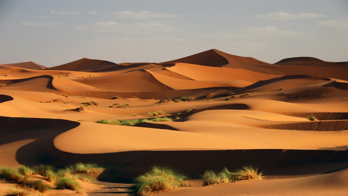 Sahara desert discovery – Are humans to blame for the transformation of 