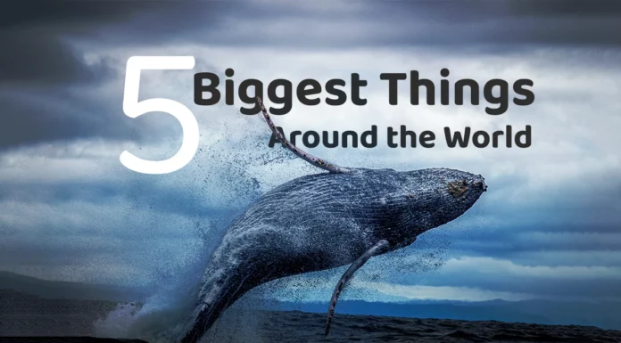 biggest things in the world