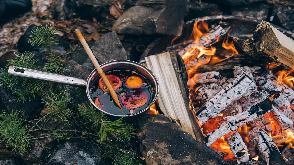 A Comprehensive Guide on 5 Best Campfire Cooking Equipment