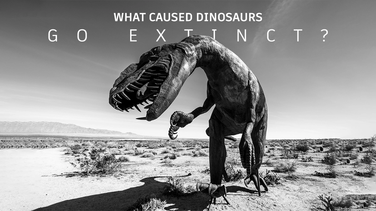 What Caused Dinosaurs Go Extinct?