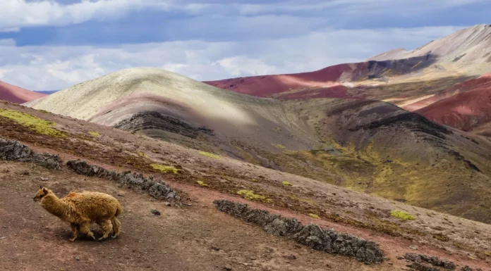 rainbow mountain peru