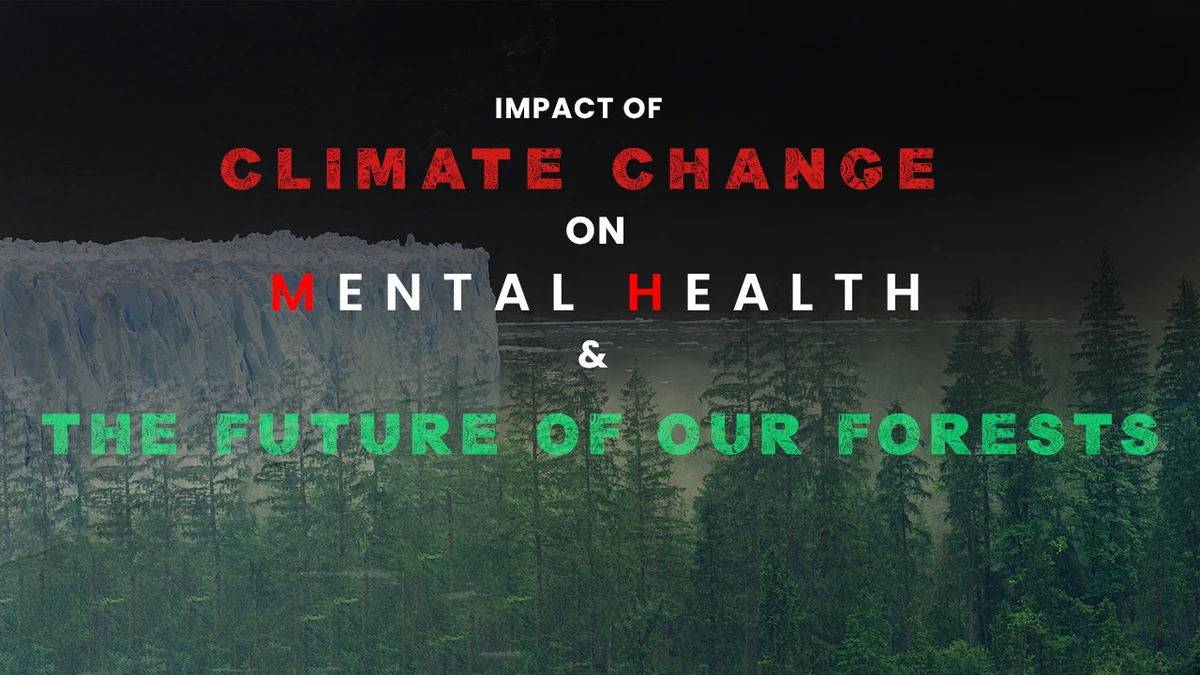 Climate Change's Toll: Mental Health And Forest Futures