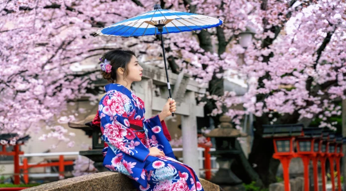 Cherry Blossom Festival Japan