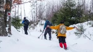 Snowshoeing and Cross-Country Skiing