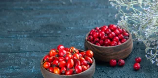 rose hips benefits