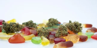 CBD Gummies