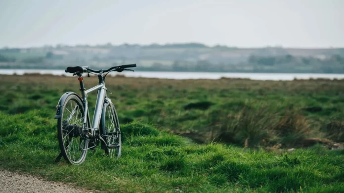 Electric Mountain Bike