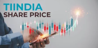 TIINDIA share price