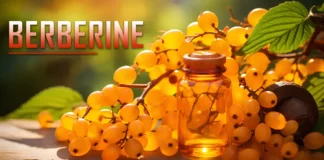 berberine