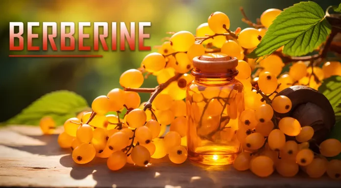 berberine