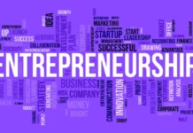 entrepreneurship