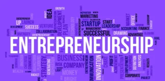 entrepreneurship