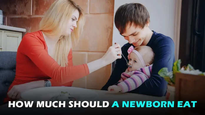 how much should a newborn eat