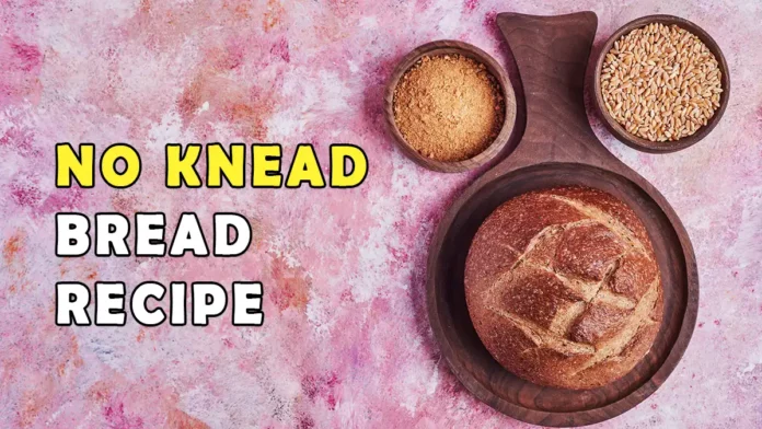 no knead bread recipe