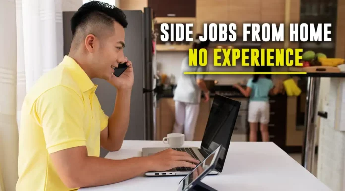 side jobs from home no experience