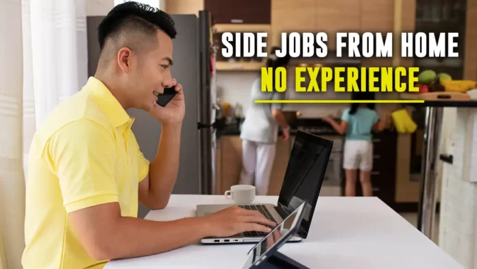 side jobs from home no experience