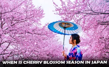 when is Cherry Blossom Season in Japan