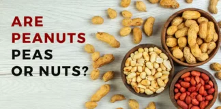 Are peanuts peas or nuts?