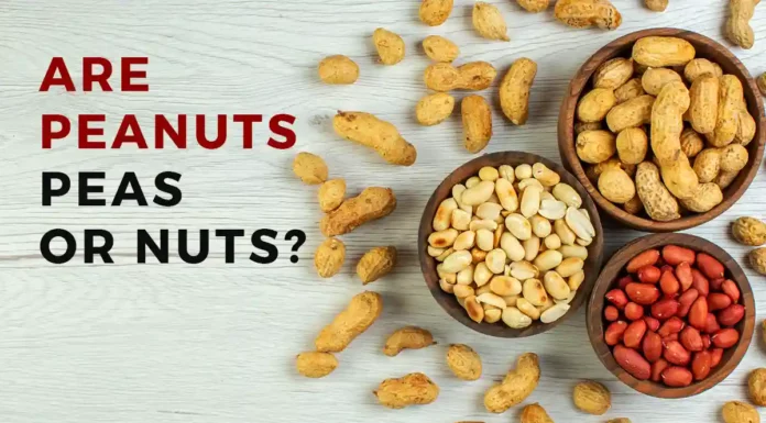 Are peanuts peas or nuts?