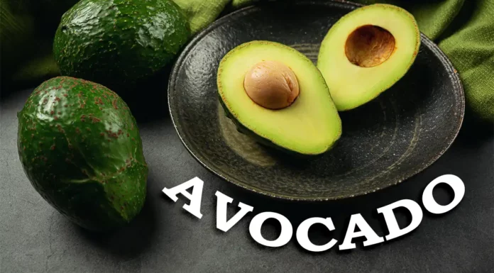 avocado