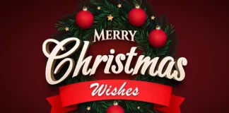 Merry Christmas Wishes