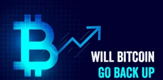 will Bitcoin go back up