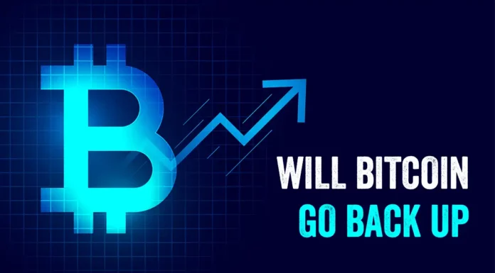 will Bitcoin go back up