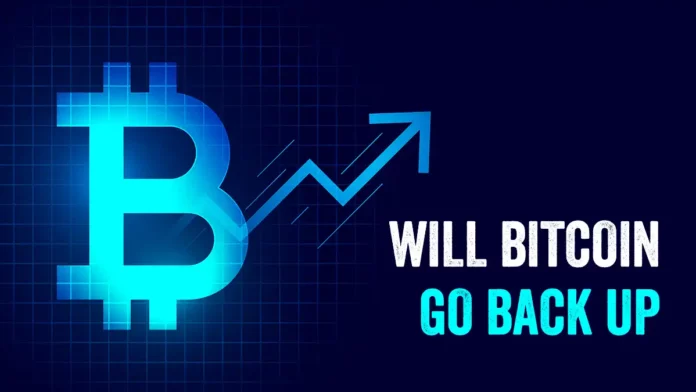 will Bitcoin go back up