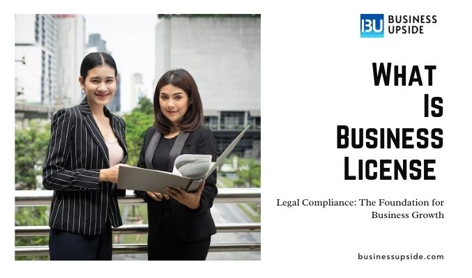 What is Business Licence