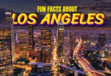 Sunshine, Stars, and Surprises: Fun Facts About LA