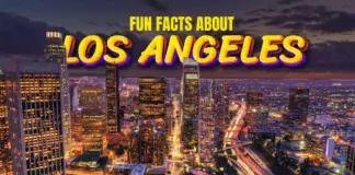 Sunshine, Stars, and Surprises: Fun Facts About LA